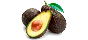 Avocado Ecuador